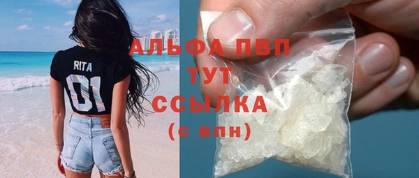 прущие грибы Лихославль
