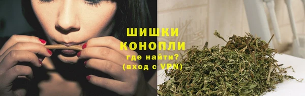 прущие грибы Лихославль